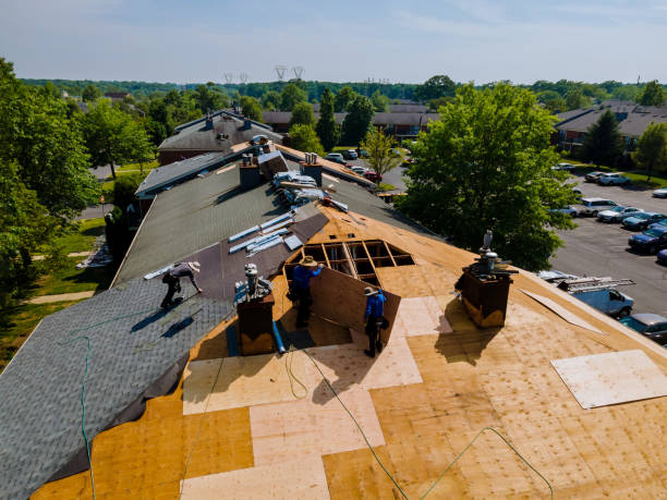 Sealant for Roof in Reed City, MI
