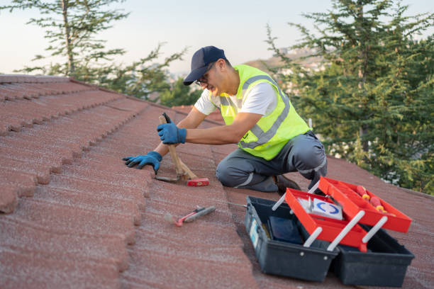Best Roofing Contractor Near Me  in Reed City, MI