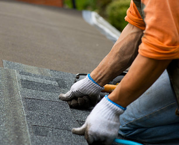 Best New Roof Installation  in Reed City, MI