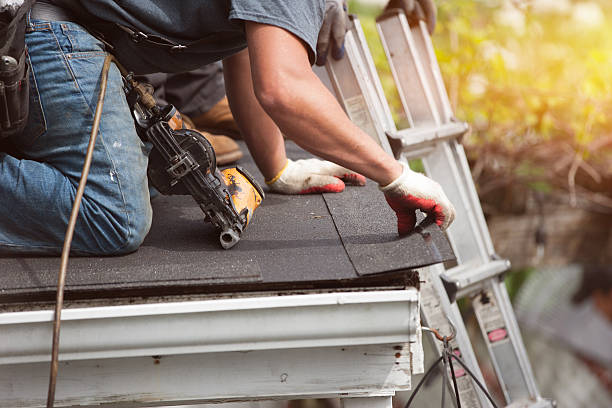 Best Sealant for Roof  in Reed City, MI