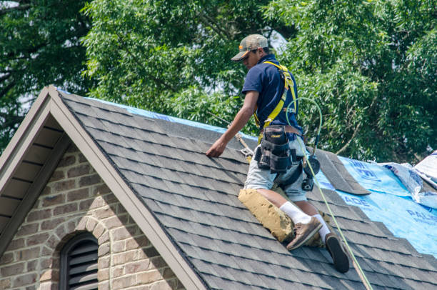 Roof Gutter Cleaning in Reed City, MI